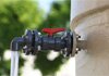Detail of tap