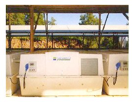 Module for early weaning of piglets